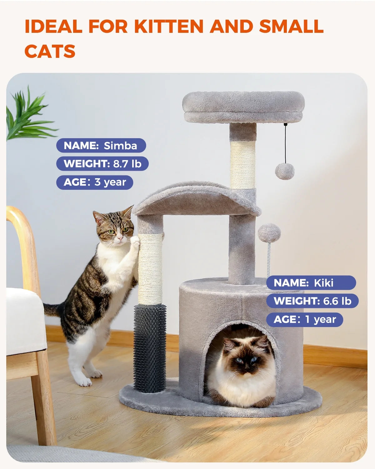 32.7" Cat Tree Small Cat Tower Kitten Scratching Posts Condo with Sefl-Grooming Toy, Gray