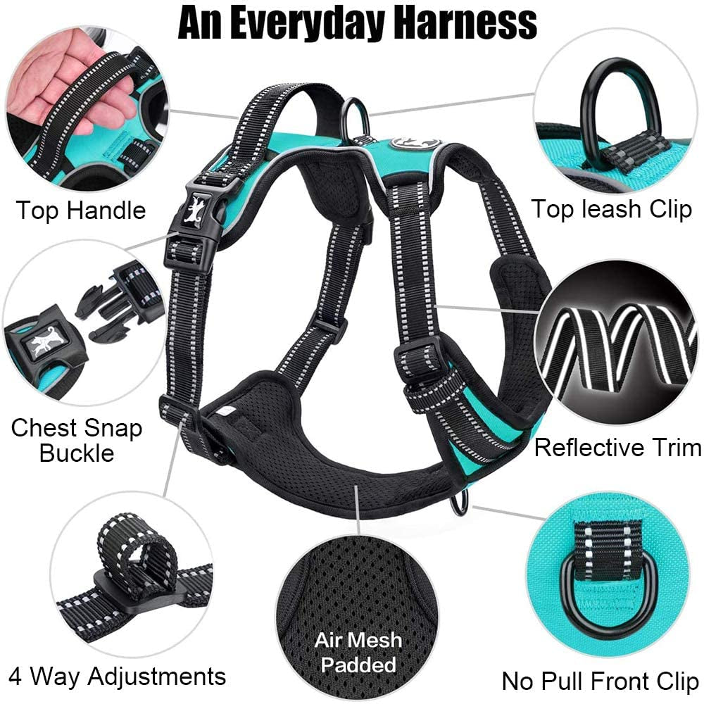 No Pull Dog Harness, Reflective Comfortable Vest Harness with Front & Back 2 Leash Attachments and Easy Control Handle Adjustable Soft Padded Pet Vest for Small Medium Large Dogs (Mint Blue,M)